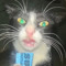 Oisin