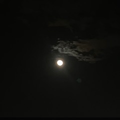 ماوحشتكك💔🚶🏻‍♂️