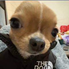 멍멍 ArRrR 왈왈