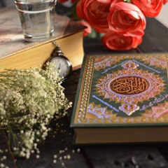 القرآن كاملًا بالحدر/ أجزاء / الشيخ ياسر سلامة