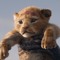 Simbas.
