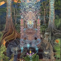 world of psychedelia