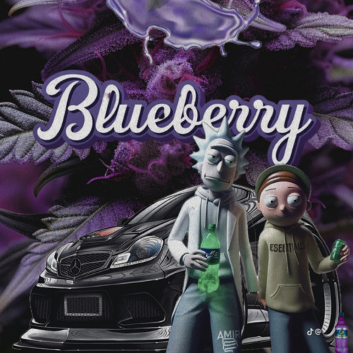 Blueberry’s avatar