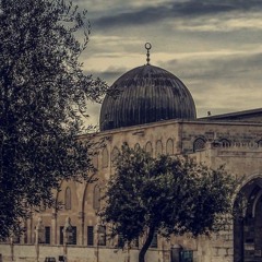 بسنت اسامه
