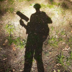 SpiraleQuartz/PaléoRecord