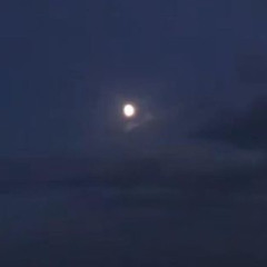 ₊̣̇.ᥫ᭡˖ ࣪˻
