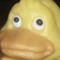 pisu