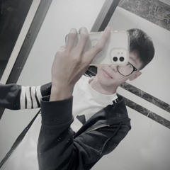 Le Nguyen Khanh Toan