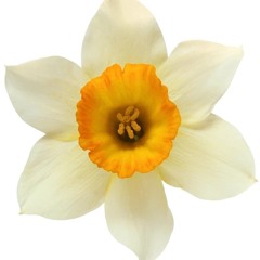 uglyblokette