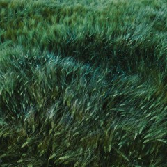 GreenSouls