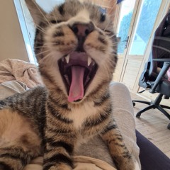 אצל יהלי בסטודיו