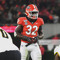 Rice32