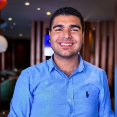 youssef Safwat Amin