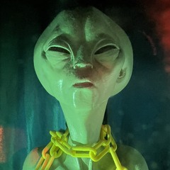lizera