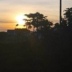 có lẽ từng một cái gật đầu