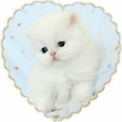 internetcrybaby