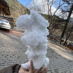 퍼그