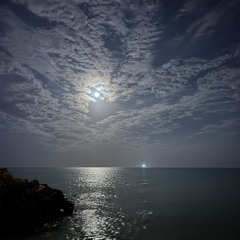 Shaimaa Al Sheikh Ali