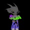 DJ SOA DA ZN