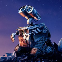 amir mohamad Soliemani