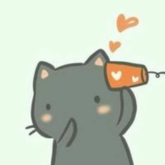 Nguyễn Minh Ngọc