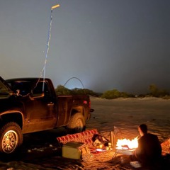 Rashed_alk
