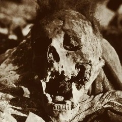 ♫⃠  DxBxAxIxRxHxFx ( GORENOISE / GOREGRIND ) ♫⃠