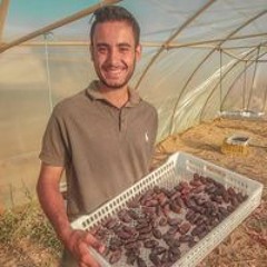 Abdelrahman Ashour