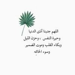 Aya Abd Elrouf Hamed