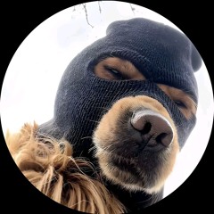 eltévedt utazó2.0