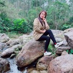 Hoa Hong Linh