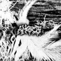Angel$