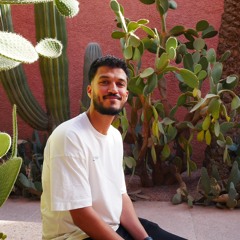 Mohamed Ali Mzabi