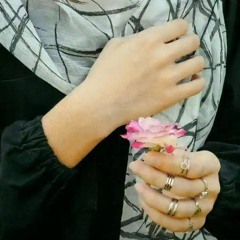 Muhammad Ameer