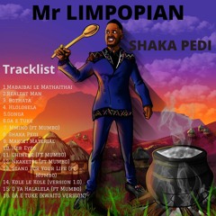 Mr Limpopian