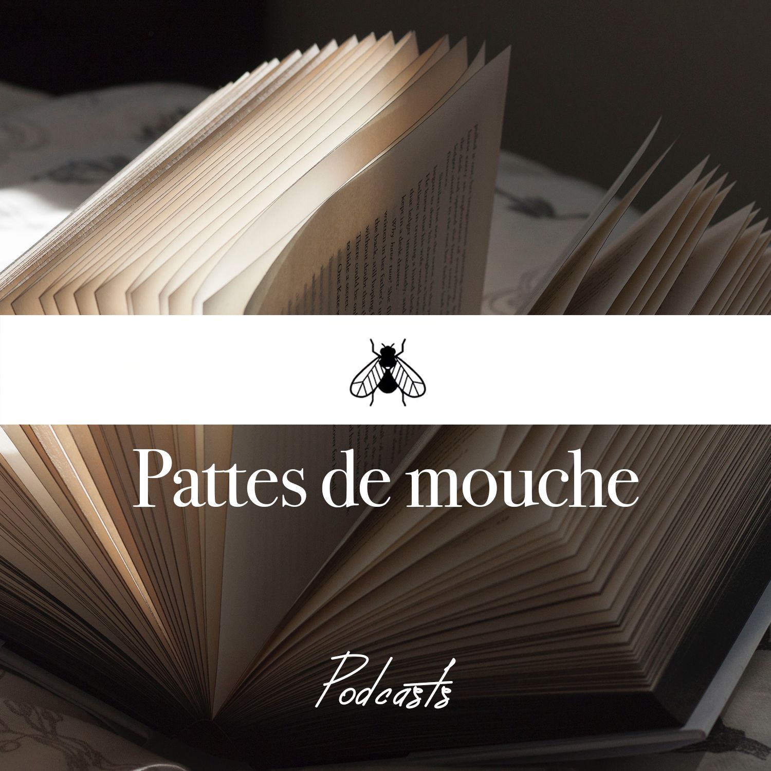 Pattes de mouche podcast artwork