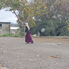 Ali Khadrah