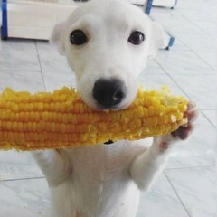 Bygandylo>_<!