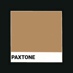 Paxtone Audio