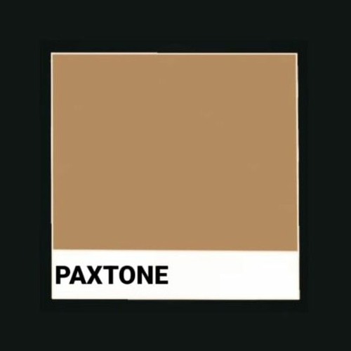 Paxtone Audio’s avatar