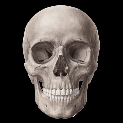 isolation - NightHawk22(Slowed/FOCUS)