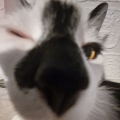 <3