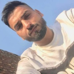 Javaid Tiger