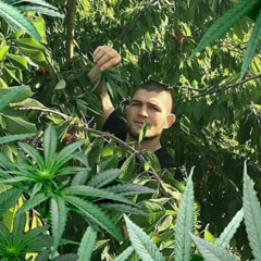 LoVeAK47