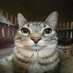 mmrtnez