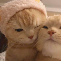 ngxphngthao