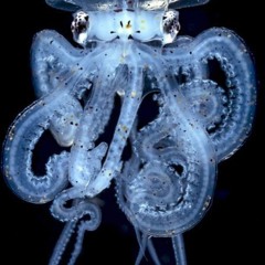 $ $$$$$ $$$$$$$$$ $$$$$$$$$$$