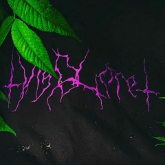 NLXGNTMNT