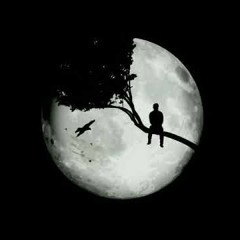 Silent Night