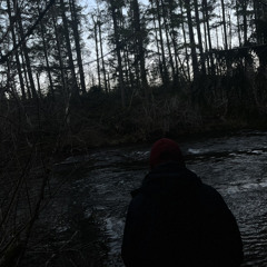 Landin_silent
